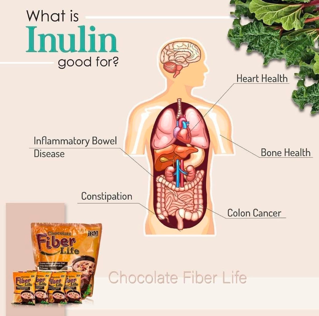 Chocolate Fiber Life JRM